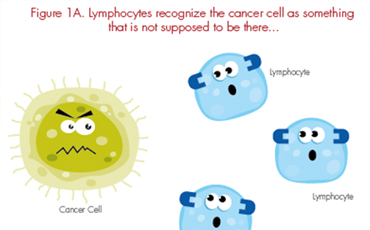 ยารักษามะเร็งในปัจจุบัน (Systemic therapy)