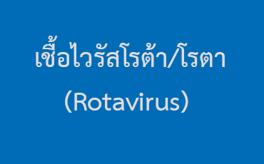 เชื้อไวรัสโรต้า/โรตา (Rotavirus)