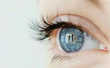 การตรวจสุขภาพตา (The Importance of Comprehensive Eye Exams)