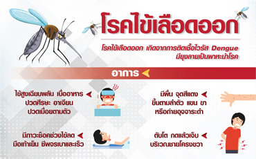 โรคไข้เลือดออก..ภัยจากยุงตัวร้าย (Dengue fever)