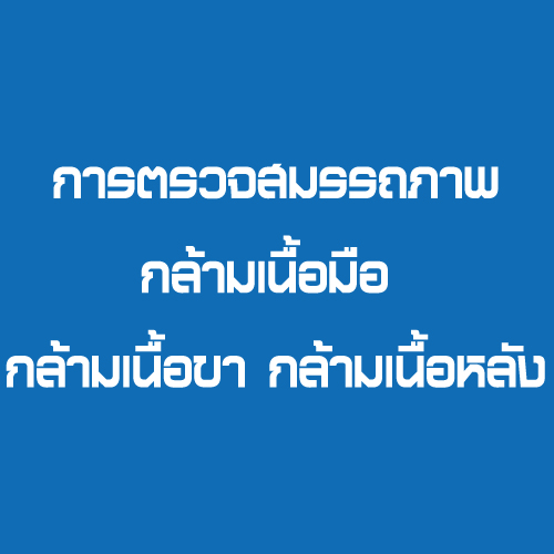 การตรวจสมรรถภาพกล้ามเนื้อมือ กล้ามเนื้อขา กล้ามเนื้อหลัง