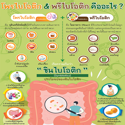 โพรไบโอติก & พรีไบโอติก คือ อะไร