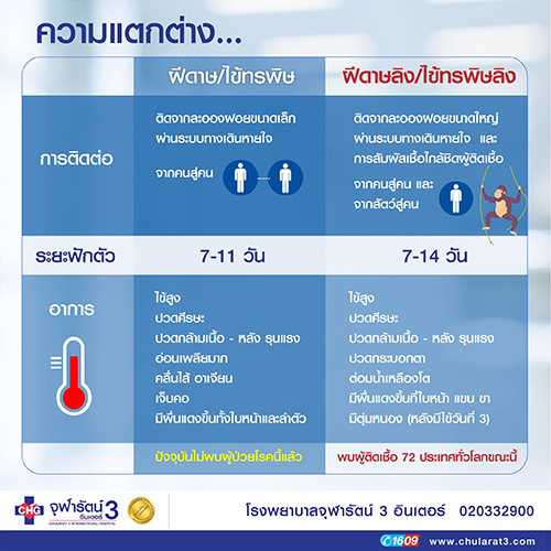 ฝีดาษ VS ฝีดาษลิง มีความแตกต่างกันอย่างไร