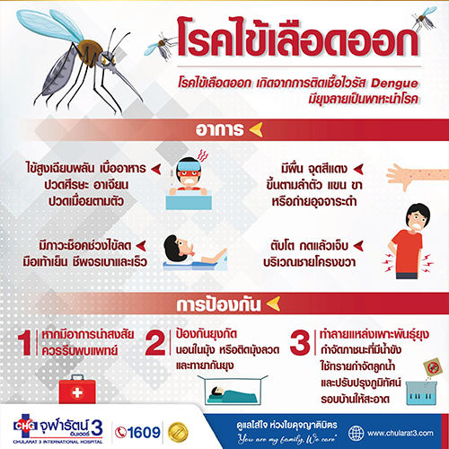 โรคไข้เลือดออก เป็นโรคที่เกิดจากการติดเชื้อไวรัส Dengue ซึ่งมียุงลายเป็นพาหะ